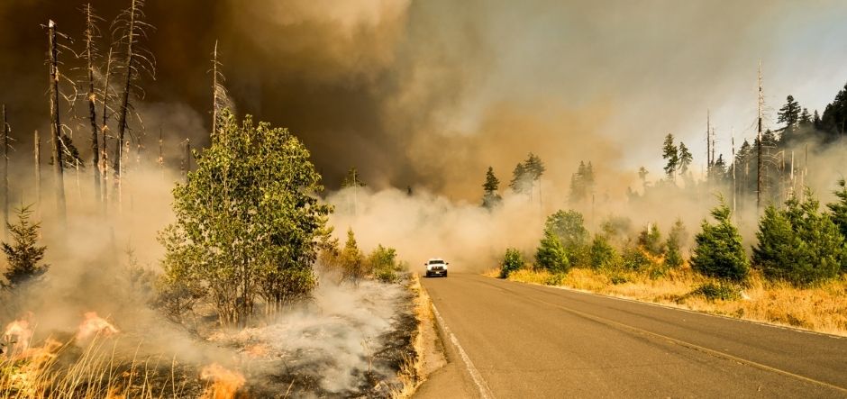 EY launches data analytics competition to help wildfire management