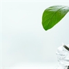 BGF helps businesses digitally transform using Microsoft Azure