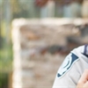 RSPCA uses Microsoft cloud to deliver animal welfare services