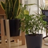 Liquidware joins Azure programme for Windows Virtual Desktop deployments
