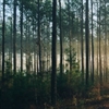 New collaboration explores carbon capture for reduced emissions