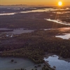 Microsoft to open sustainable data centres in Sweden