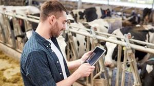 Fonterra to use Microsoft Azure for business intelligence and growth