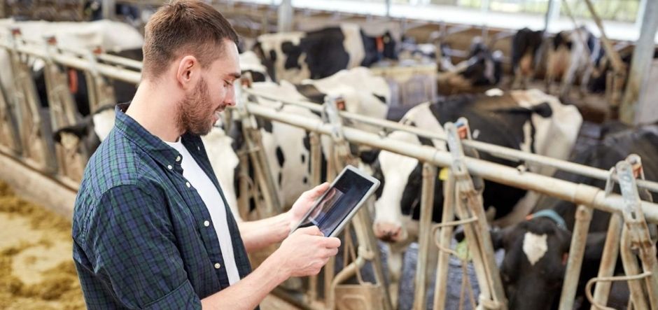 Fonterra to use Microsoft Azure for business intelligence and growth
