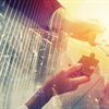 Growing the transport ecosystem through collaboration