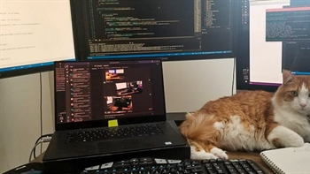 Learn on Demand Systems shares its remote working tips