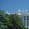 Microsoft joins White House consortium to fight Covid-19