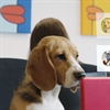 Sideways 6 uses Microsoft Teams to get employees’ ideas heard