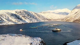 Norway Royal Salmon improves sustainability with AI