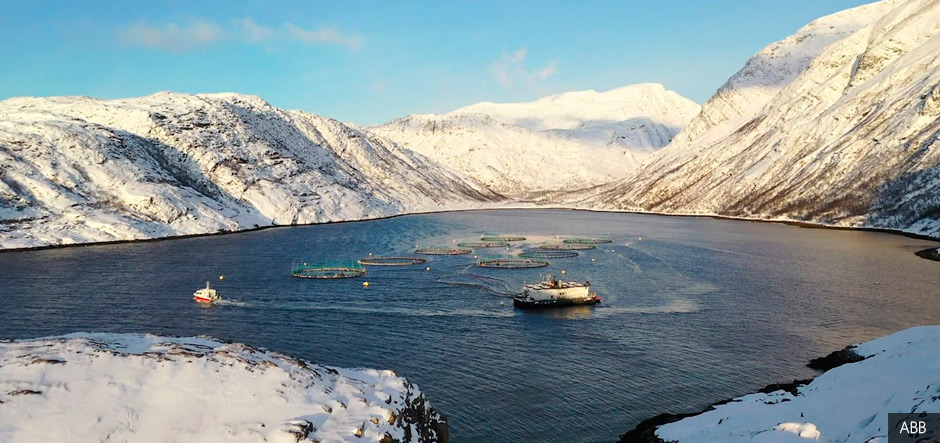 Norway Royal Salmon improves sustainability with AI