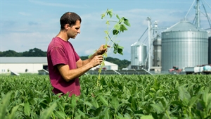 Microsoft partners with USDA to help farmers leverage AI