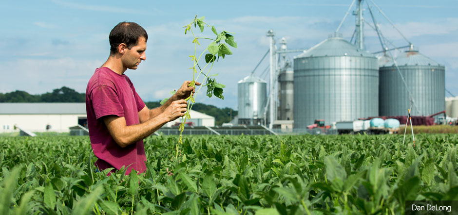 Microsoft partners with USDA to help farmers leverage AI