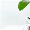 Rimilia uses Microsoft technology to help financial businesses grow