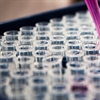 Microsoft joins with Allscripts to further innovation in clinical research