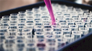 Microsoft joins with Allscripts to further innovation in clinical research
