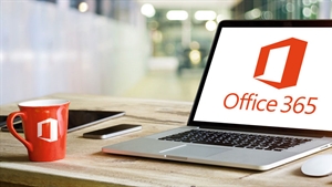 Office 365 tailor made: Understanding the importance of training