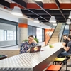 The importance of culture: top tips for success