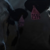 Milk Source turns to Skyline Technologies to help track clientele