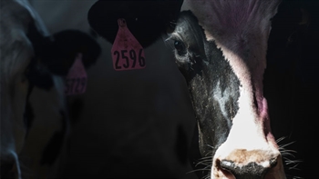 Milk Source turns to Skyline Technologies to help track clientele