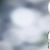 Cognitive systems to help insurers improve customer experience