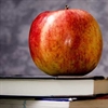 Digital skills will help new teachers manage their increasing workload