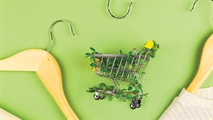 Addressing the sustainability conundrum of modern retail