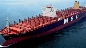 MSC enhances global operations with Office 365