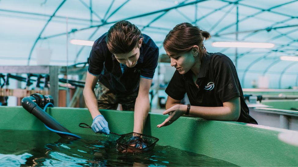 Microsoft Project helps aquaculture business improve data flow and team collaboration