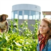 Microsoft delivers cloud technology for Fujitsu’s sustainability initiative