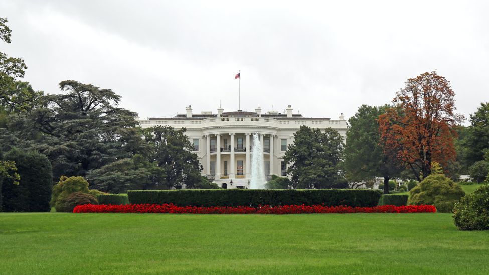 Microsoft to support the White House on the future of AI