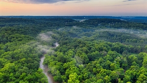 Colombian environmental organisations use Microsoft AI technology to preserve Amazon rainforest