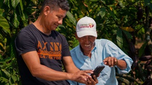 Microsoft helps Colombian cocoa producers increase productivity by 15 per cent through Cacao Conecta project