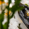 Microsoft AI helps to authenticate Italian products