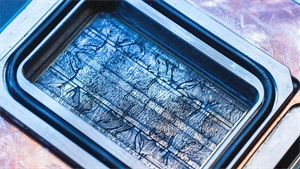 Microsoft successfully develops new microfluidic chip cooling system