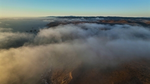 Achieving transformation with ecosystem activation