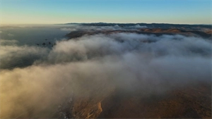 Achieving transformation with ecosystem activation