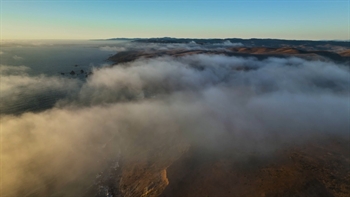 Achieving transformation with ecosystem activation