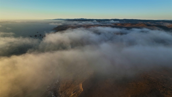 Achieving transformation with ecosystem activation