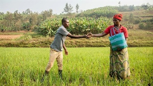 Microsoft introduces new initiative to help nonprofits adopt AI