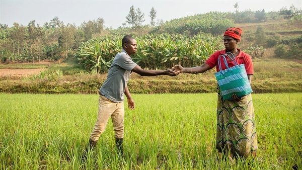 Microsoft introduces new initiative to help nonprofits adopt AI