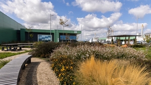 Microsoft adopts biomimicry approach for data centre design