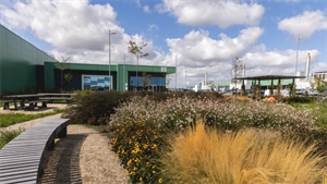 Microsoft adopts biomimicry approach for data centre design