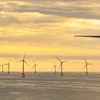 Microsoft and SSE to drive sustainability in the energy sector