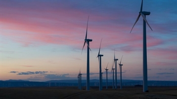 Microsoft joins Carbon Call to help meet net zero goals
