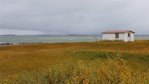 Government of Nunavut uses Microsoft tools to preserve indigenous languages