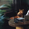 Cloud and the hybrid workforce: a perfect match