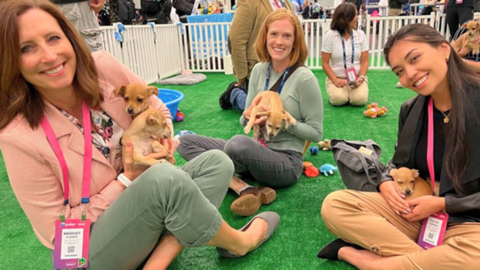 Community Summit North America 2024 puppies